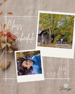 2025年11月グループレッスンスケジュール